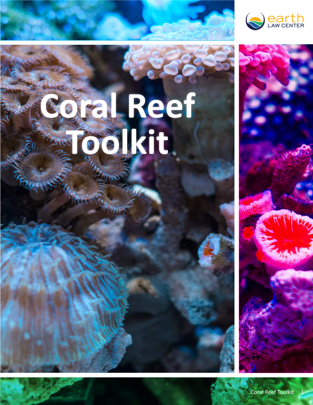 Coral Reef Toolkit