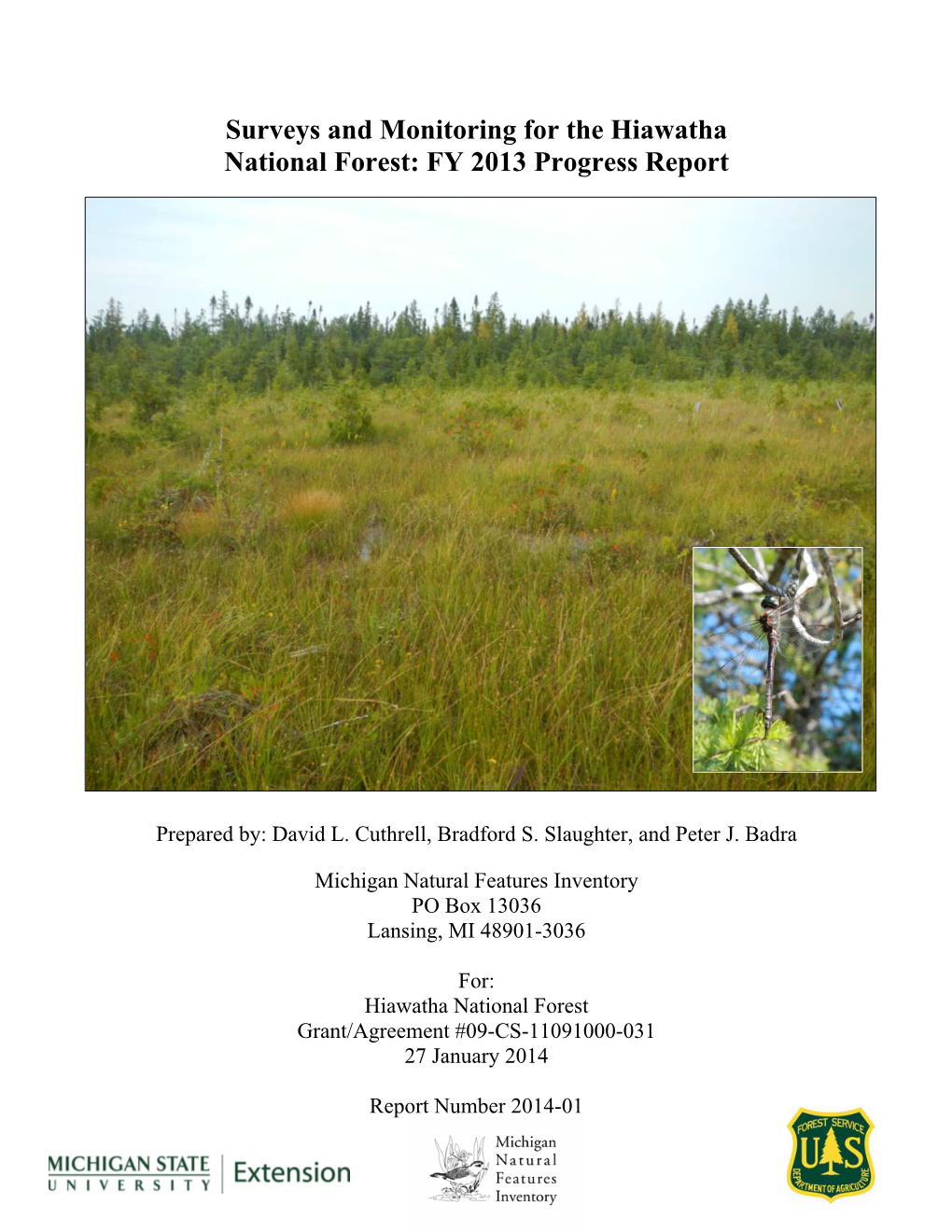 Surveys and Monitoring for the Hiawatha National Forest: FY 2013 Progress Report