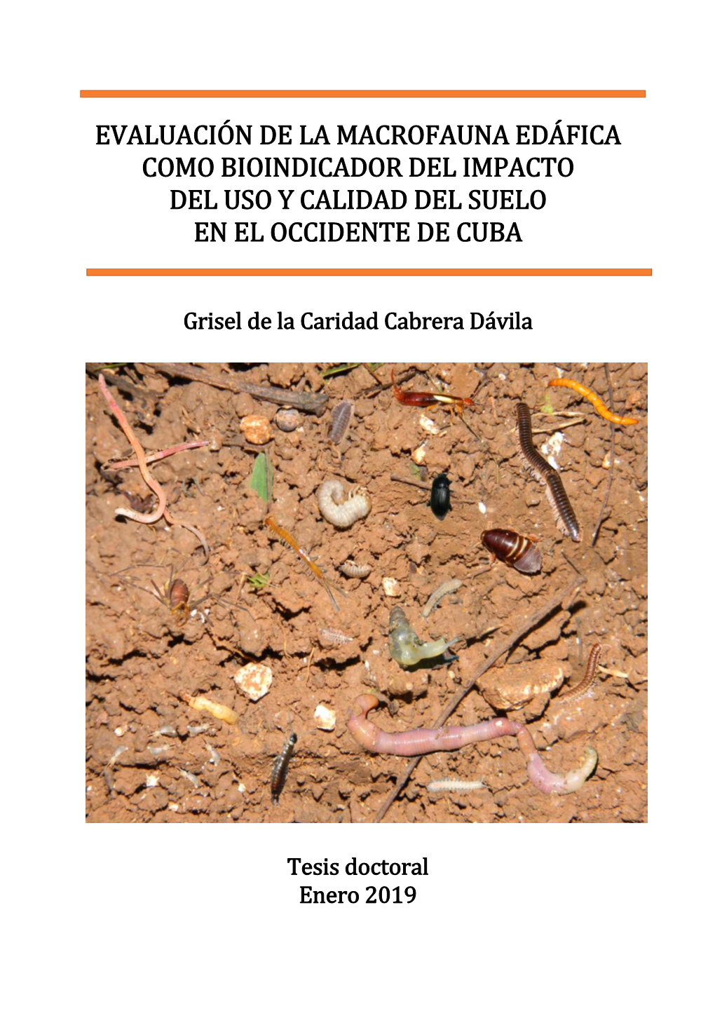 Evaluación De La Macrofauna Edáfica Como Bioindicador Del Impacto Del Uso Y Calidad Del Suelo En El Occidente De Cuba