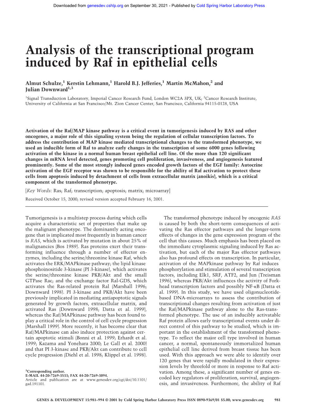 Analysis of the Transcriptional Program Induced by Raf in Epithelial Cells