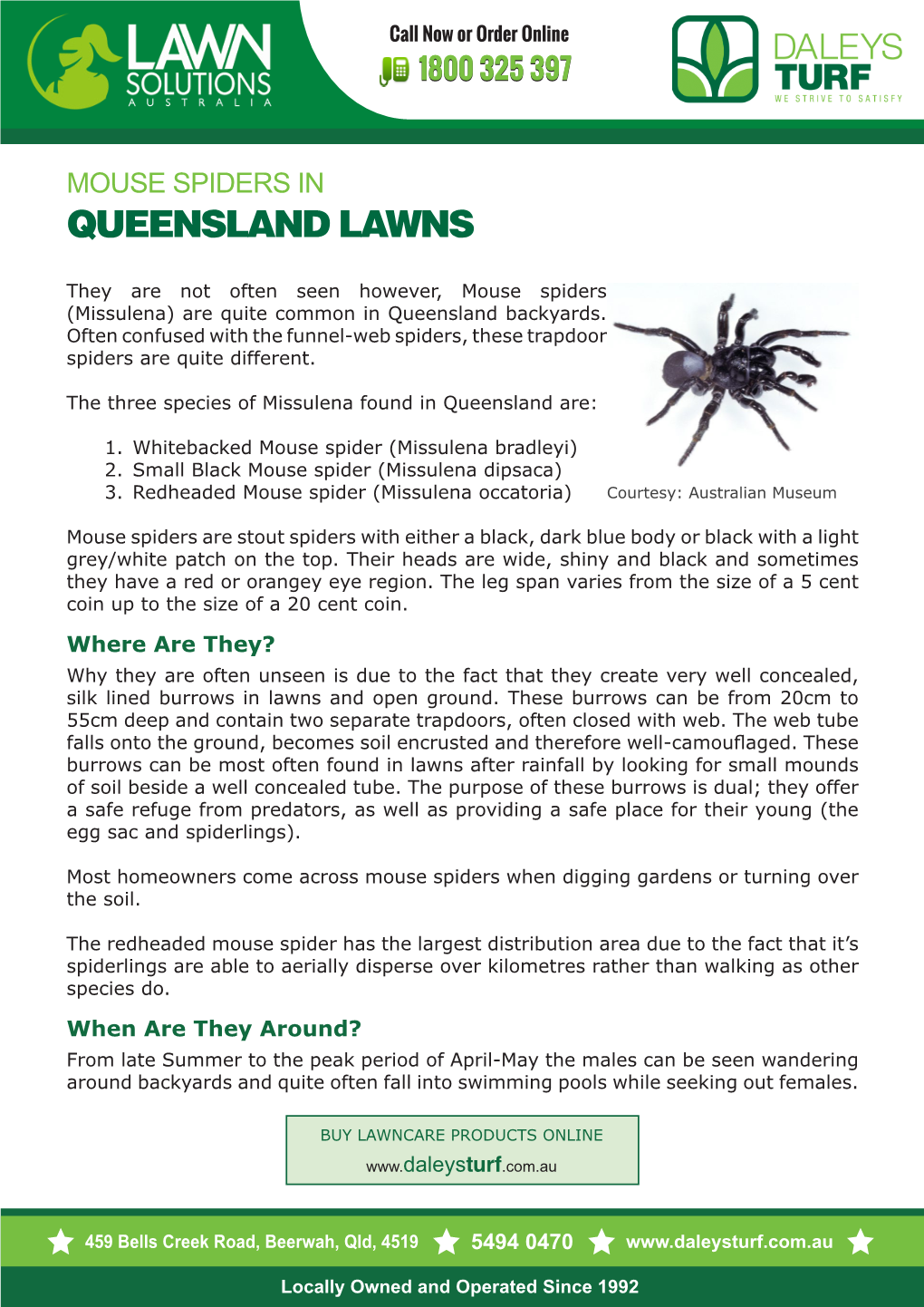 Queensland Lawns