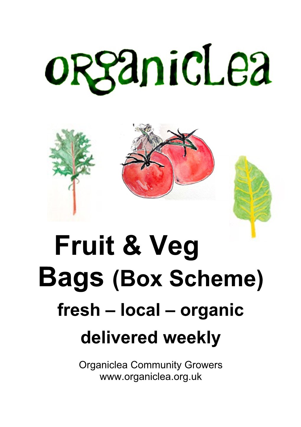 Fruit & Veg Bags (Box Scheme)