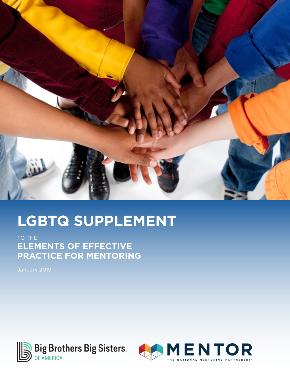 Lgbtq Supplement