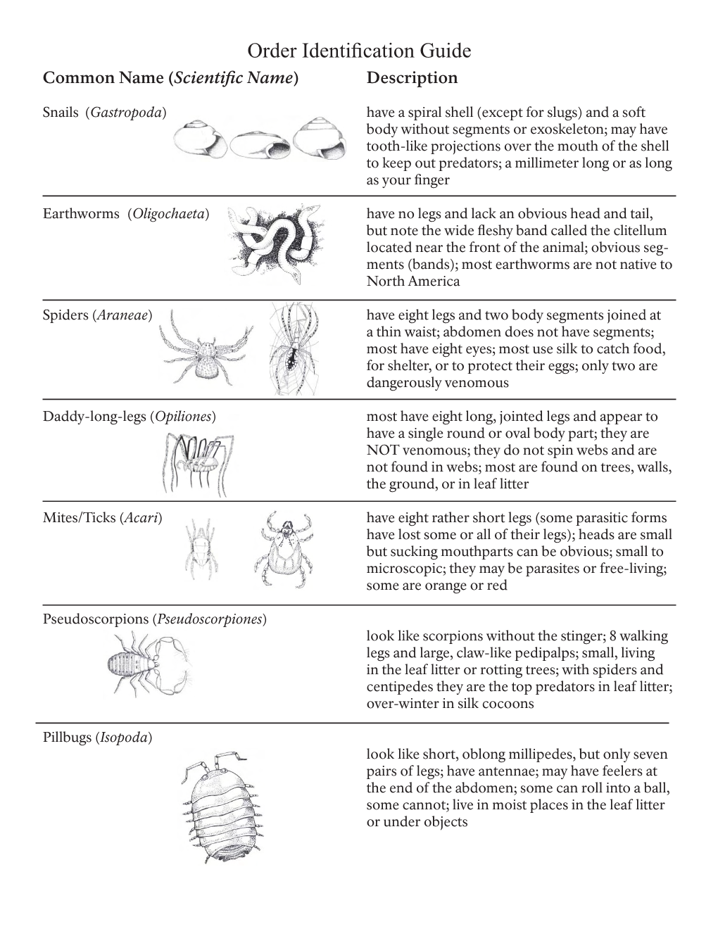 Order Identification Guide Common Name (Scientific Name) Description