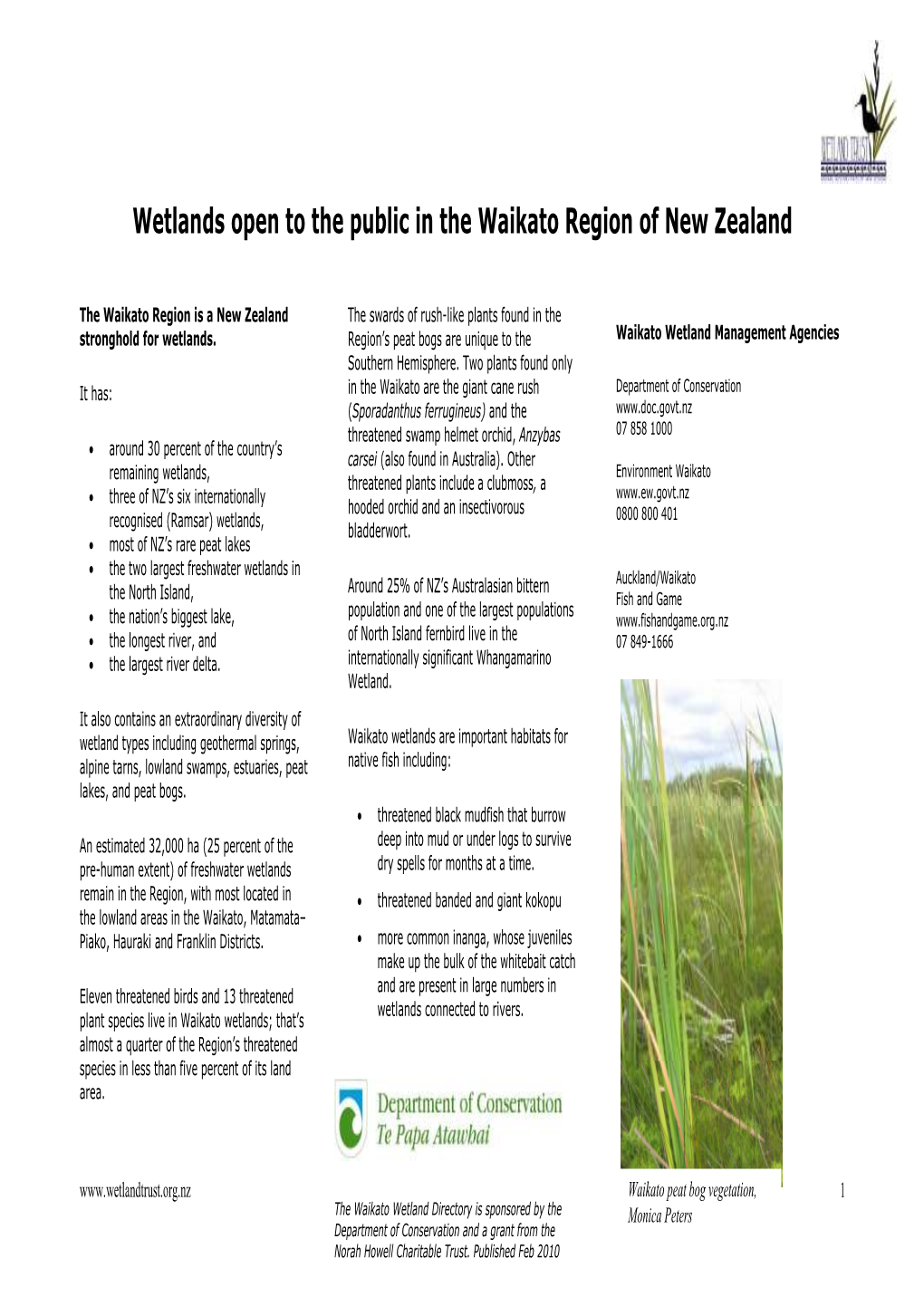 Wetlands Open to the Public in the Waikato Region of New Zealand