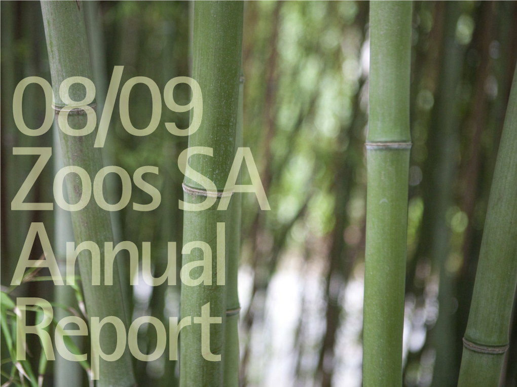 2008-09 Annual Report