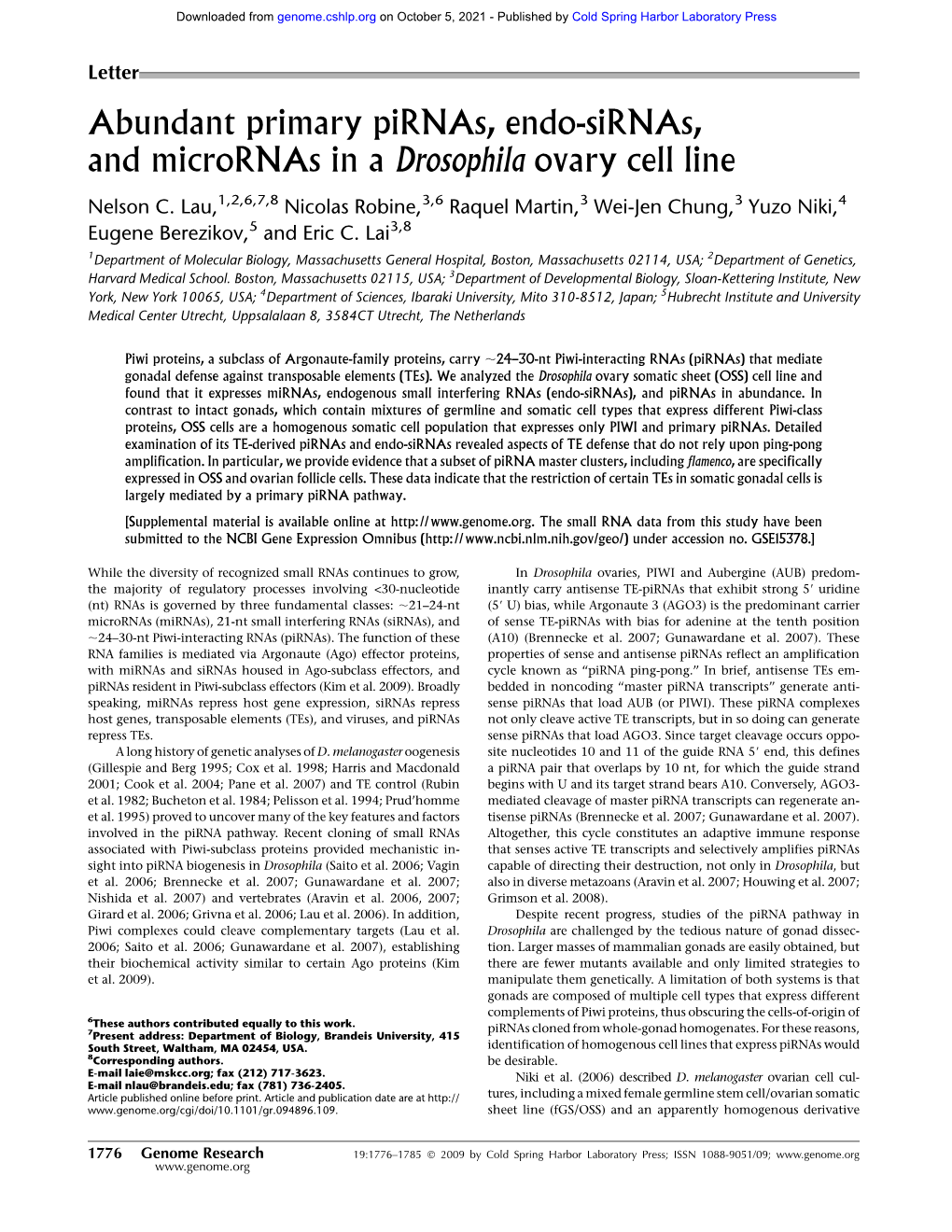 Abundant Primary Pirnas, Endo-Sirnas, and Micrornas in a Drosophila Ovary Cell Line