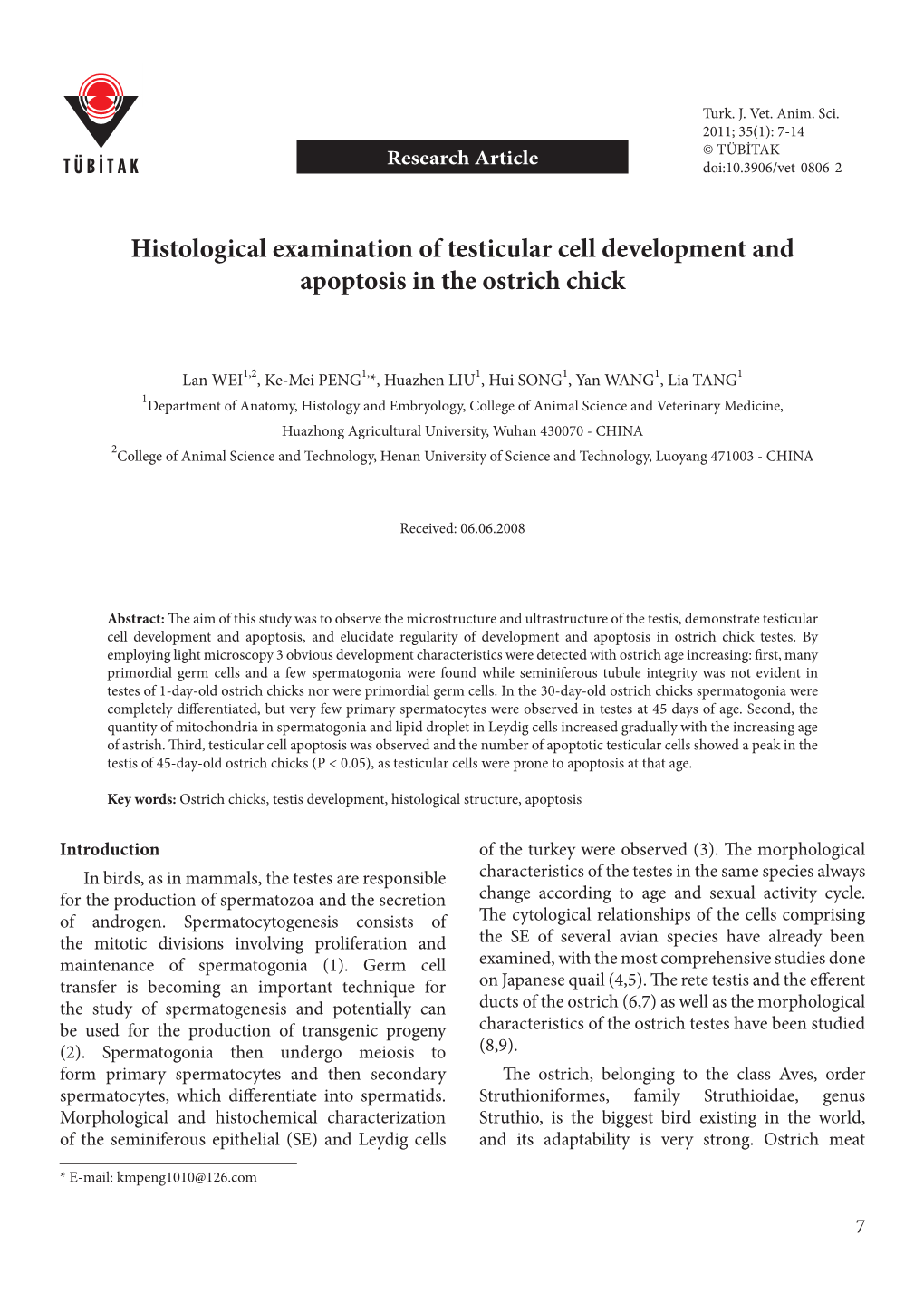 Histological Examination of Testicular Cell Development and Apoptosis in the Ostrich Chick