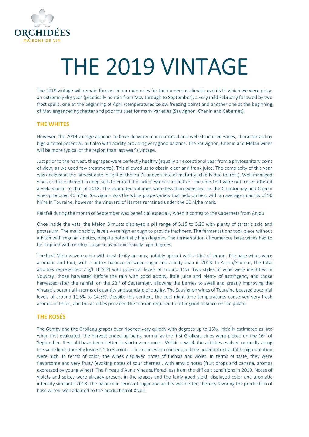 The 2019 Vintage