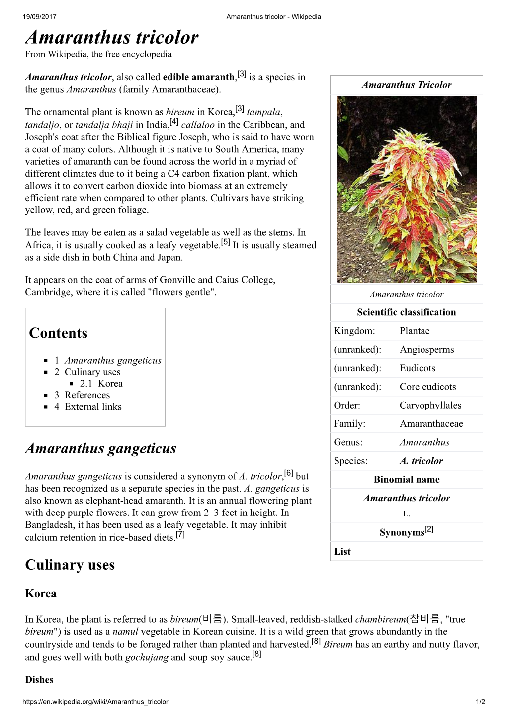 Amaranthus Tricolor - Wikipedia Amaranthus Tricolor from Wikipedia, the Free Encyclopedia