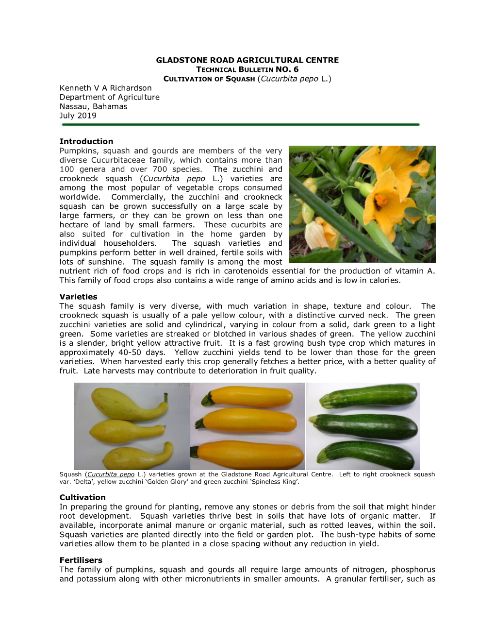 6 CULTIVATION of SQUASH (Cucurbita Pepo L.) Kenneth V a Richardson Department of Agriculture Nassau, Bahamas July 2019