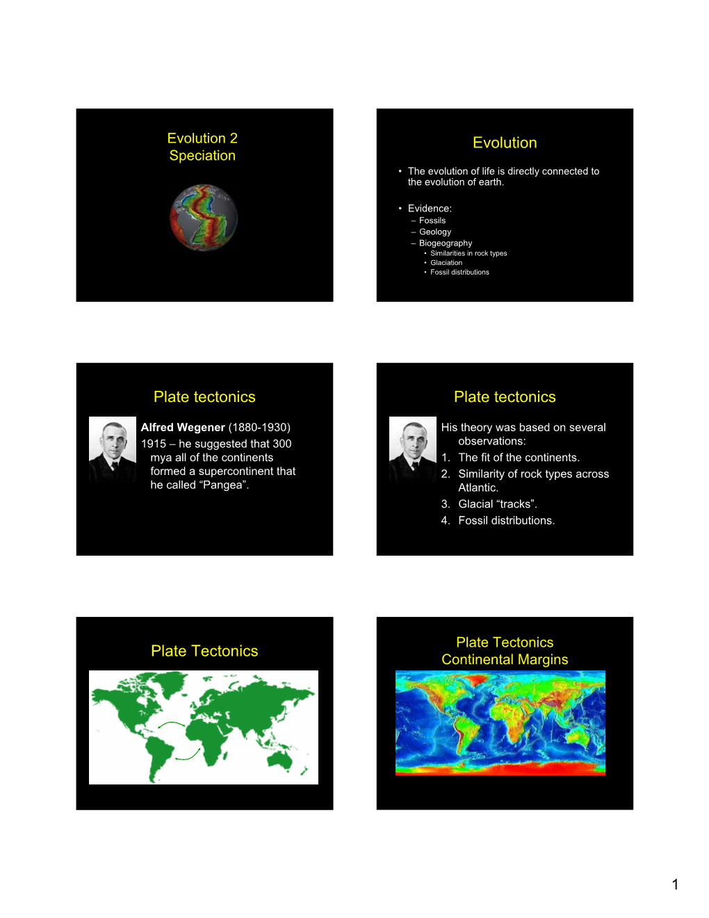 Evolution 2 Speciation