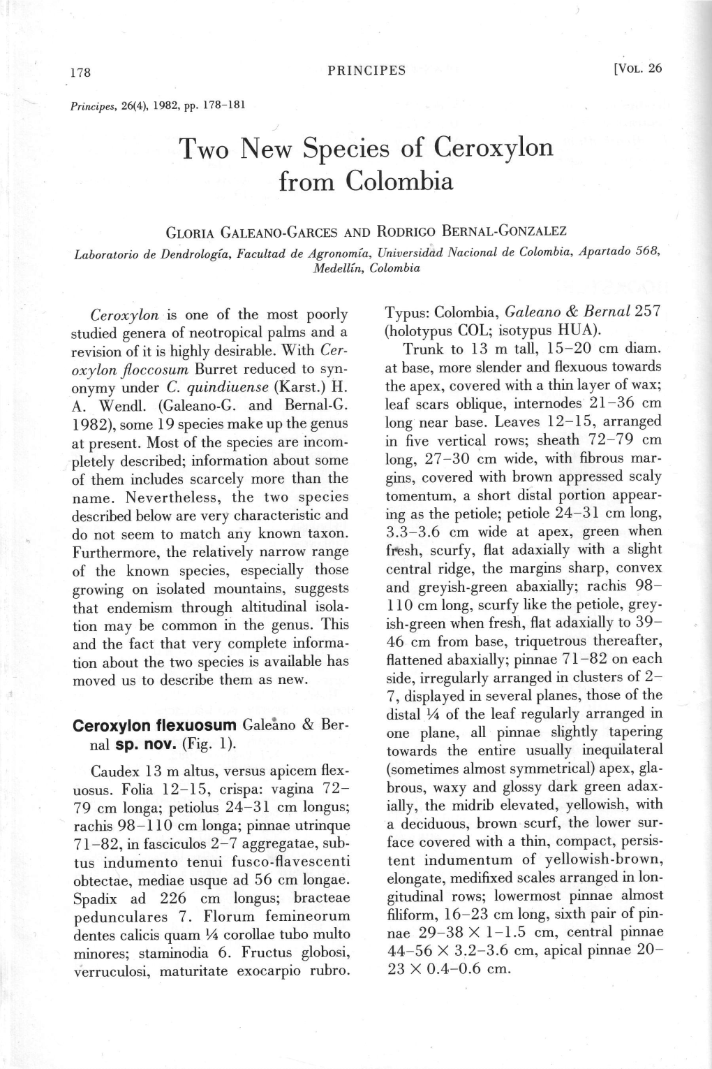 Two New Species of Ceroxylon from Colombia