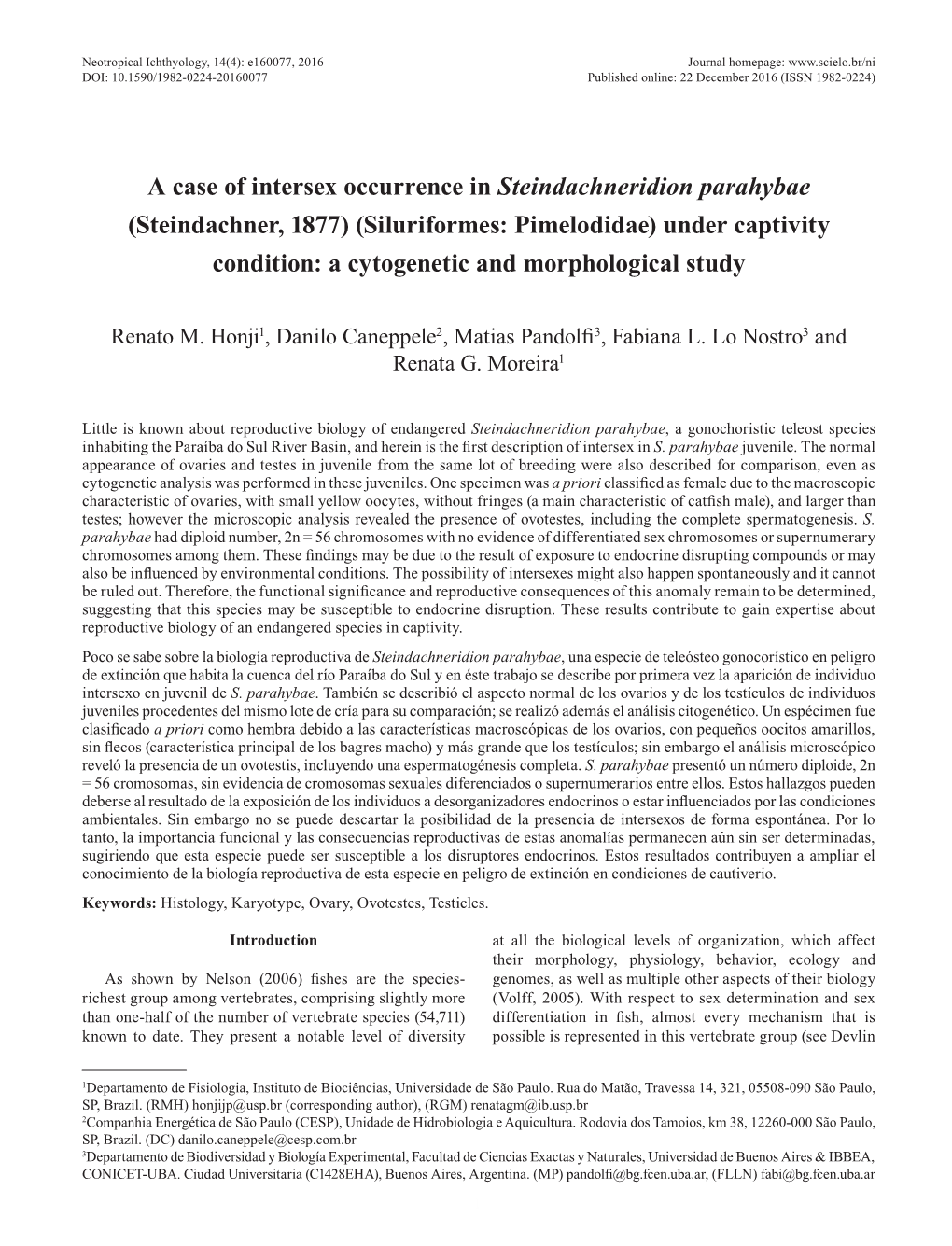 A Case of Intersex Occurrence in Steindachneridion Parahybae