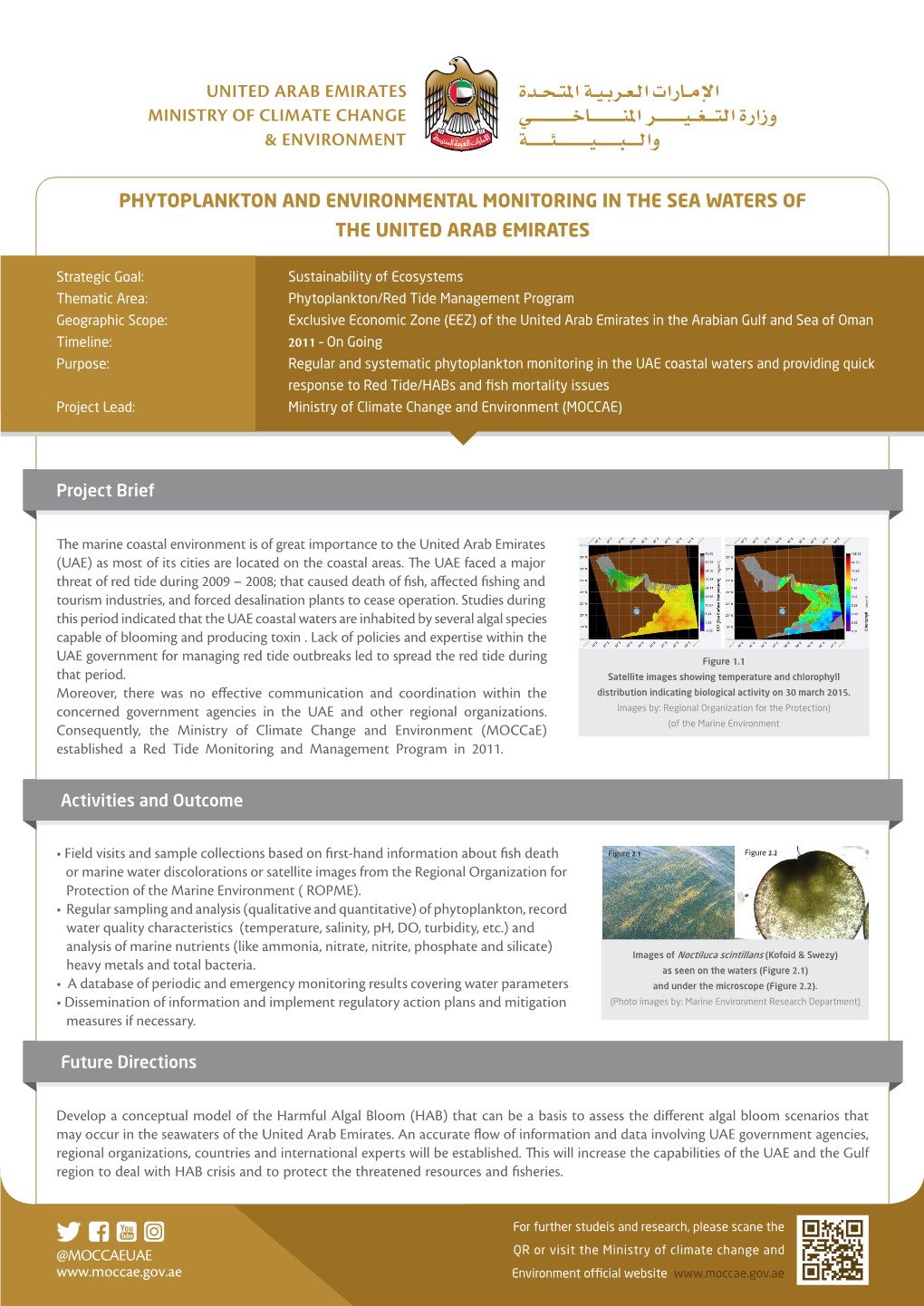 Phytoplankton and Environmental Monitoring in the Sea Waters of the United Arab Emirates