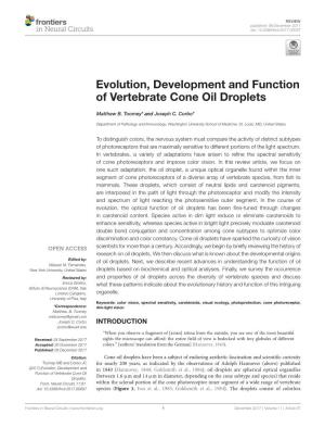 Evolution, Development and Function of Vertebrate Cone Oil Droplets