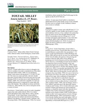 FOXTAIL MILLET Species on the PLANTS Web Site
