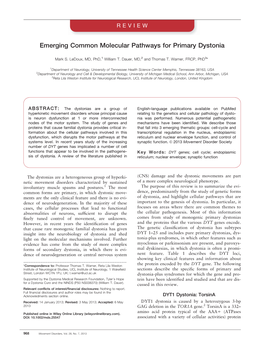 Emerging Common Molecular Pathways for Primary Dystonia