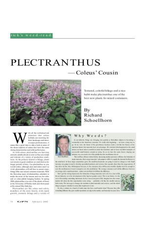 PLECTRANTHUS — Coleus’ Cousin