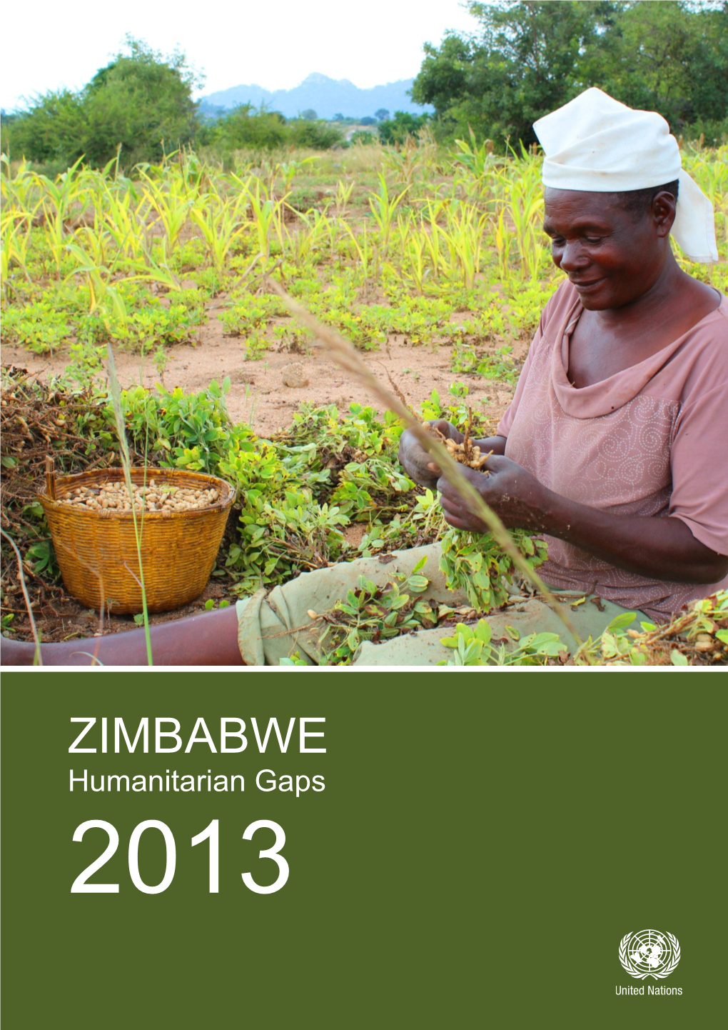 Zimbabwe Humanitarian Gaps 2013.Pdf