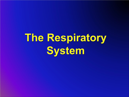 The Respiratory System RESPIRATORY SYSTEM
