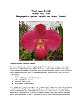 Woodstream Orchids Winter 2019-2020 Phragmipedium Species, Hybrids, and Select Divisions!