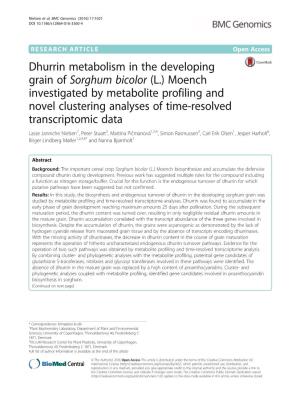 Dhurrin Metabolism in the Developing Grain of Sorghum