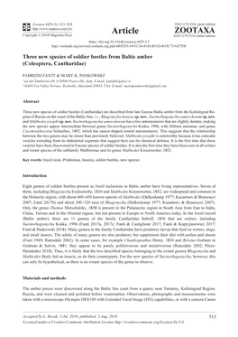 Three New Species of Soldier Beetles from Baltic Amber (Coleoptera, Cantharidae)