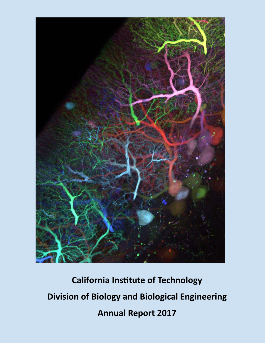 California Insɵtute of Technology Division of Biology and Biological Engineering Annual Report 2017