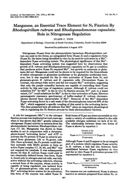 Rhodospirillum Rubrum and Rhodopseudomonas Capsulata: Role in Nitrogenase Regulation DUANE C