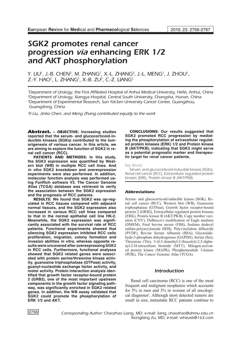 SGK2 Promotes Renal Cancer Progression Via Enhancing ERK 1/2 and AKT Phosphorylation