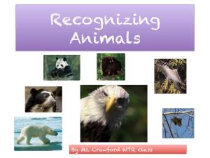Recognizing Animals