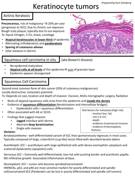 Actinic Keratosis Squamous Cell Carcinoma in Situ