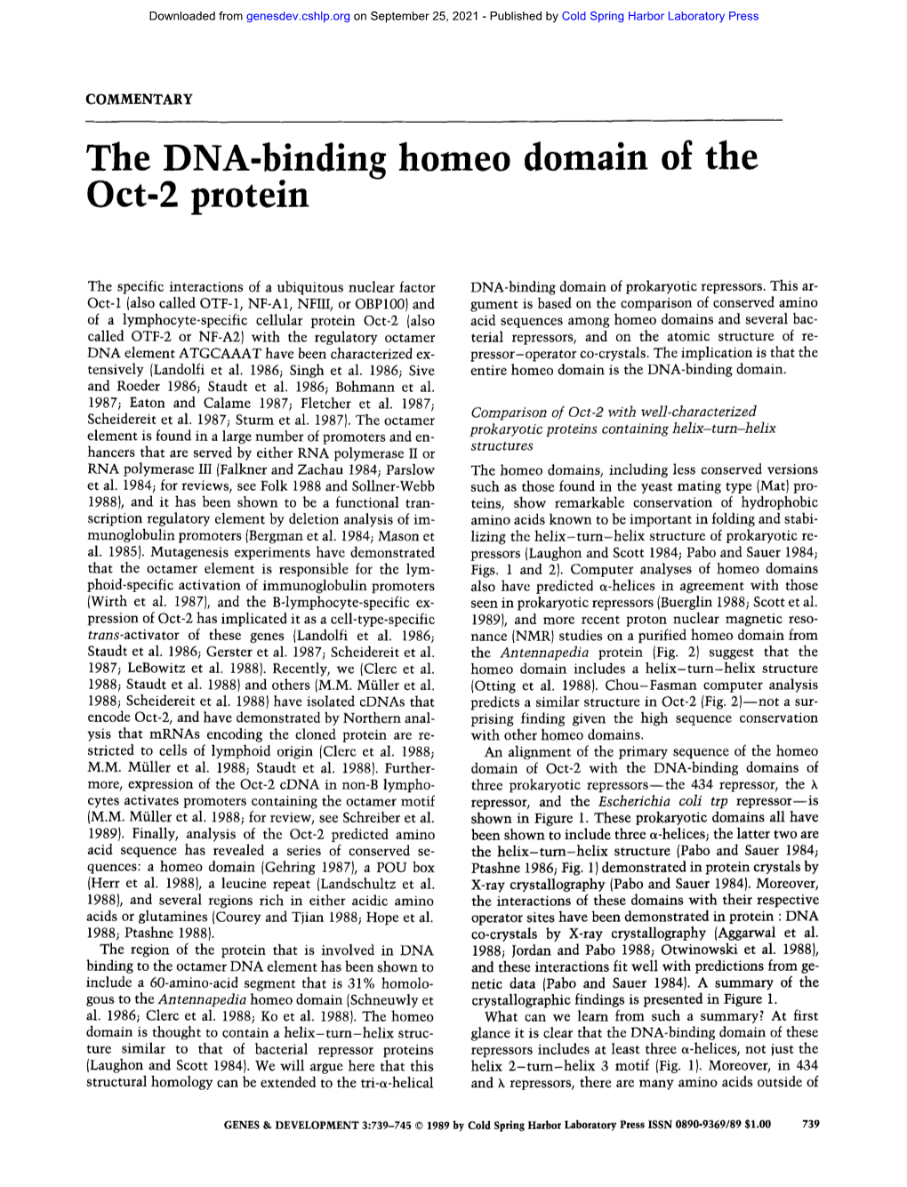 The DNA-Binding Homeo Domain of the Oct-2 Protein