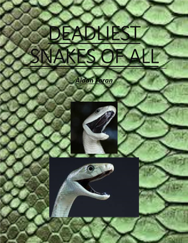 The Deadliest Snakes Of