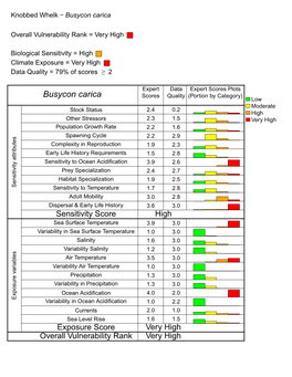 Busycon Carica