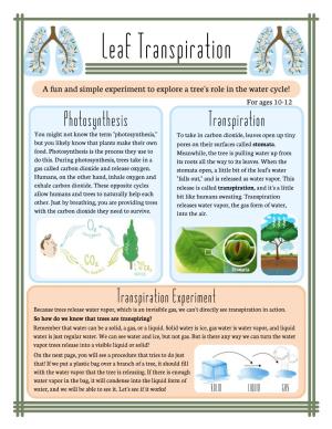 Leaf Transpiration