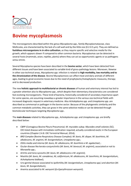 Bovine Mycoplasmosis