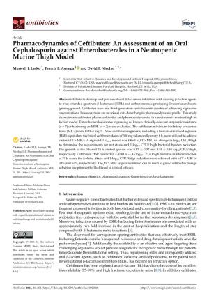 Pharmacodynamics of Ceftibuten: an Assessment of an Oral Cephalosporin Against Enterobacterales in a Neutropenic Murine Thigh Model
