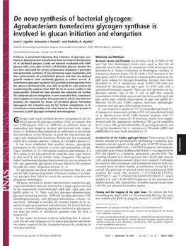 Agrobacterium Tumefaciens Glycogen Synthase Is Involved in Glucan Initiation and Elongation