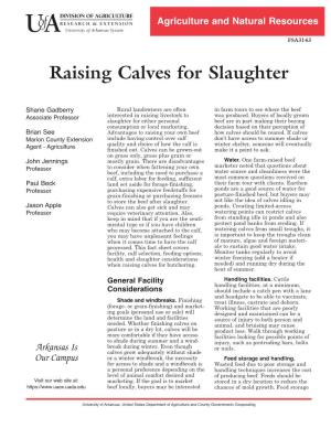 Raising Calves for Slaughter