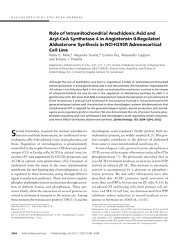 Role of Intramitochondrial Arachidonic Acid and Acyl-Coa Synthetase 4 in Angiotensin II-Regulated Aldosterone Synthesis in NCI-H295R Adrenocortical Cell Line Pablo G