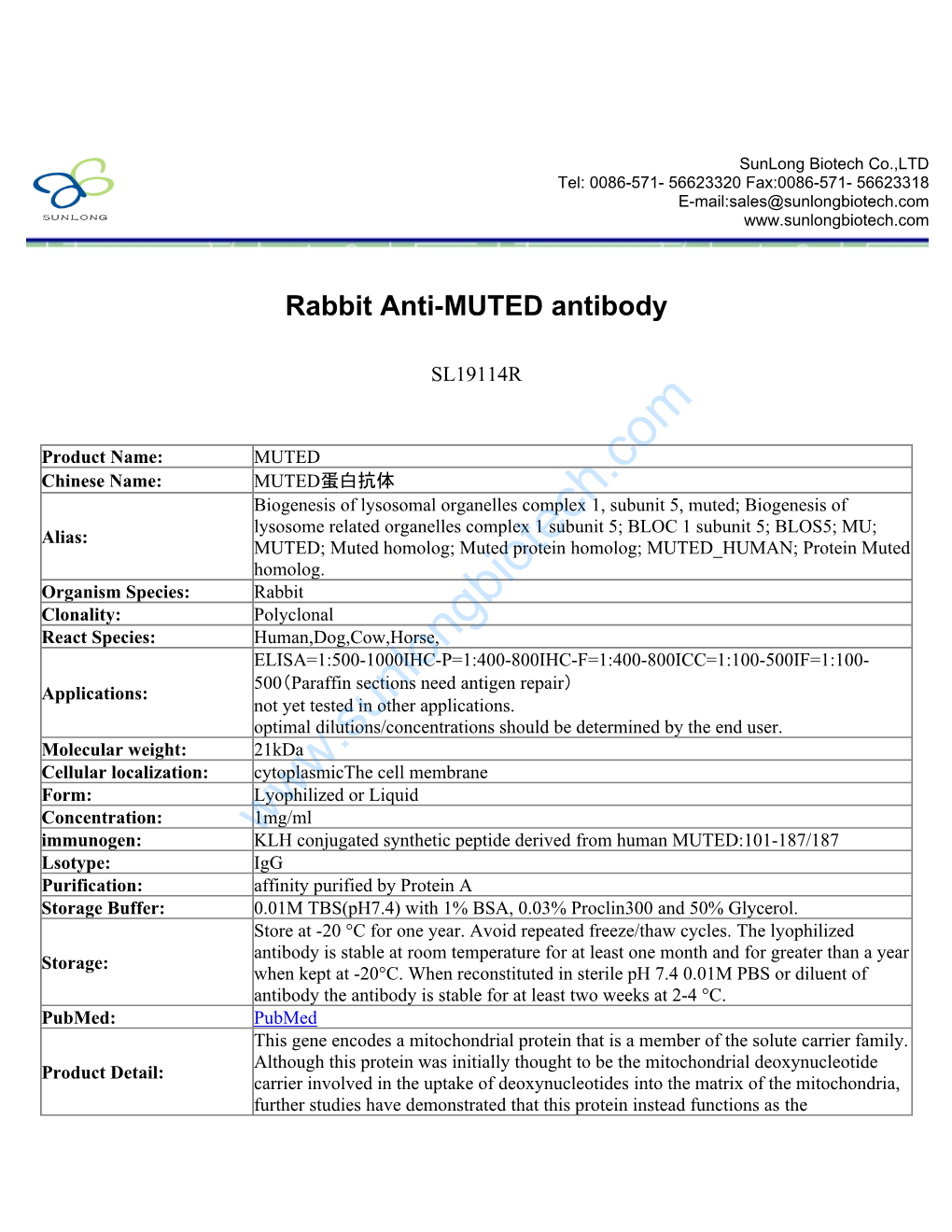 Rabbit Anti-MUTED Antibody-SL19114R