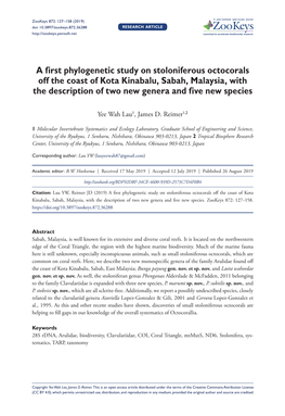 A First Phylogenetic Study on Stoloniferous Octocorals Off the Coast of Kota Kinabalu, Sabah, Malaysia, with the Description of Two New Genera and Five New Species