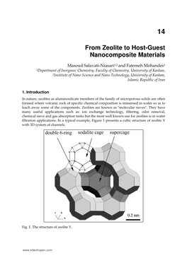 From Zeolite to Host-Guest Nanocomposite Materials