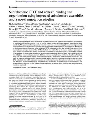 Subtelomeric CTCF and Cohesin Binding Site Organization Using Improved Subtelomere Assemblies and a Novel Annotation Pipeline