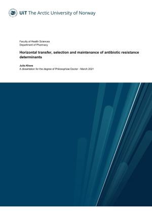 Horizontal Transfer, Selection and Maintenance of Antibiotic Resistance Determinants