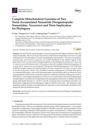 Complete Mitochondrial Genomes of Two Toxin-Accumulated Nassariids (Neogastropoda: Nassariidae: Nassarius) and Their Implication for Phylogeny