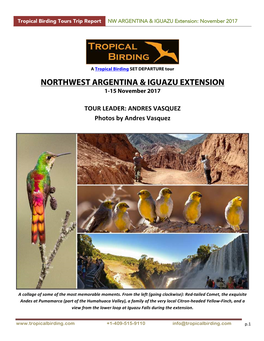 Northwest Argentina & Iguazu Extension