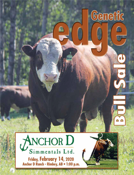 A Special Thanks from Anchor D Ranch to All Buyers in 2019